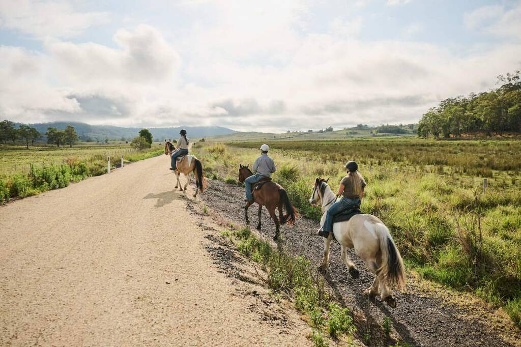 Northern Rivers Rail Trail named NSW’s best tourism attraction two ...