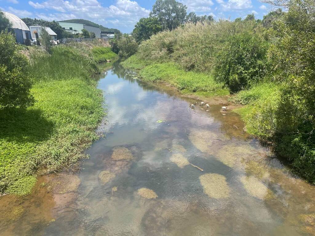 Condong creek