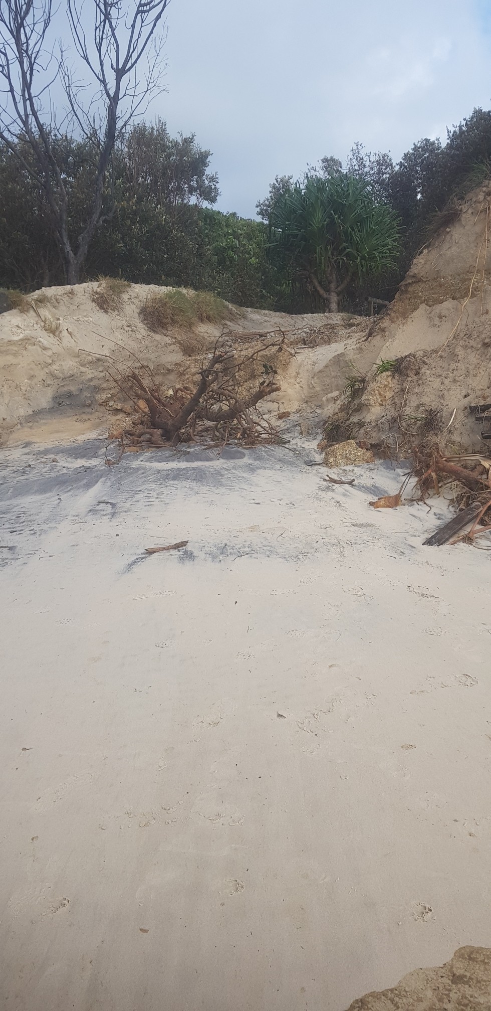 Powerful swells have carved deep into Tweed dunes, leaving sharp sand cliffs along the coastline.