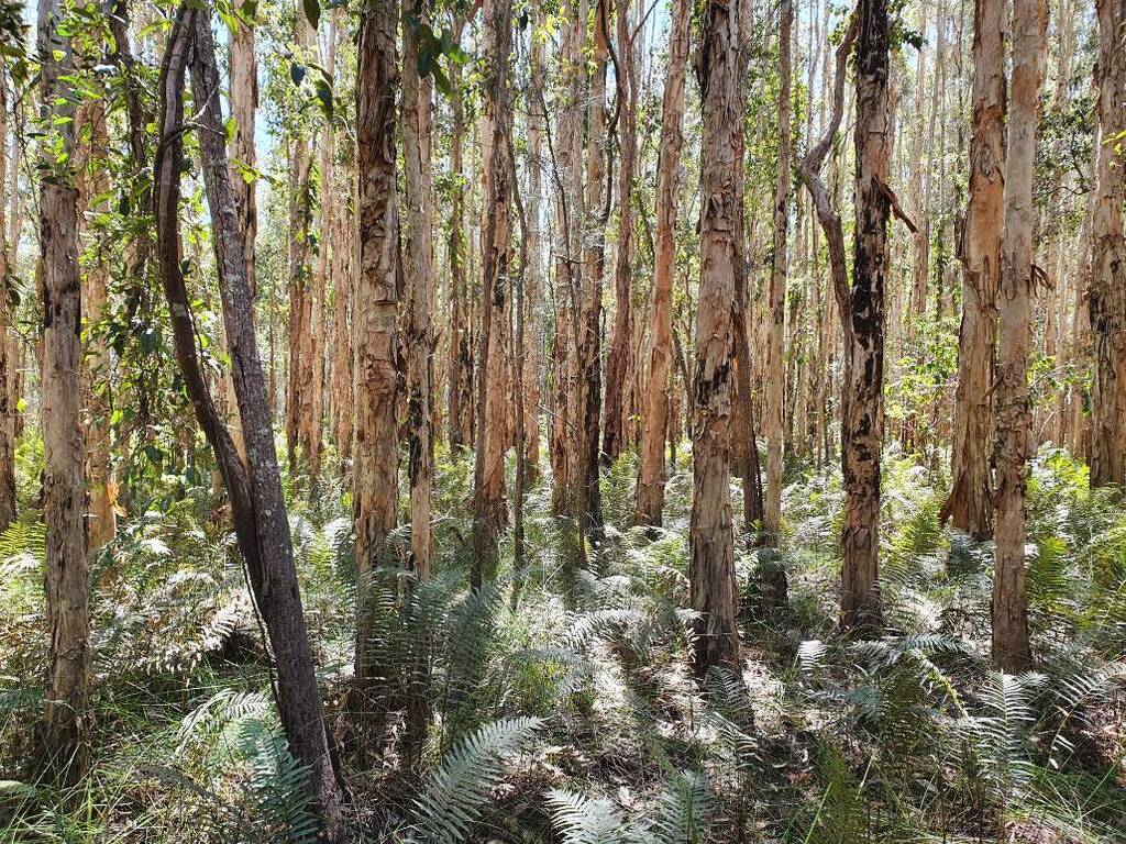 Conservation zones across the Tweed.