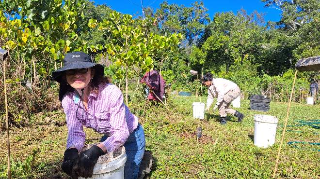  National Tree Day event