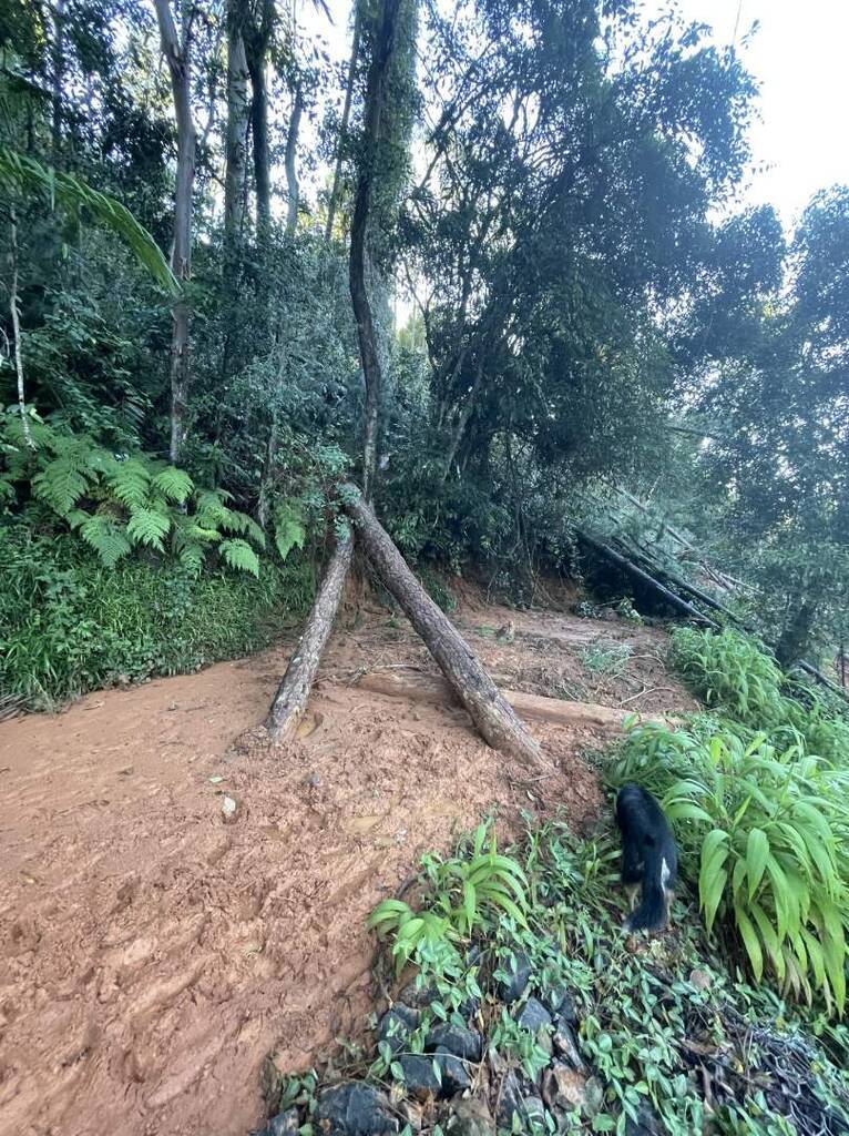 The major landslip on Byrrill Creek Road following the 2022 floods which left residents isolated for 14 days.