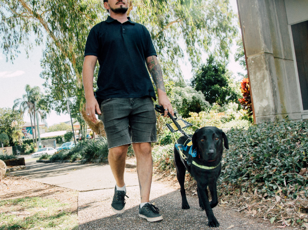Draft Assistance Animal in Council Places Policy. Man walking assistance animal outside Tweed building.