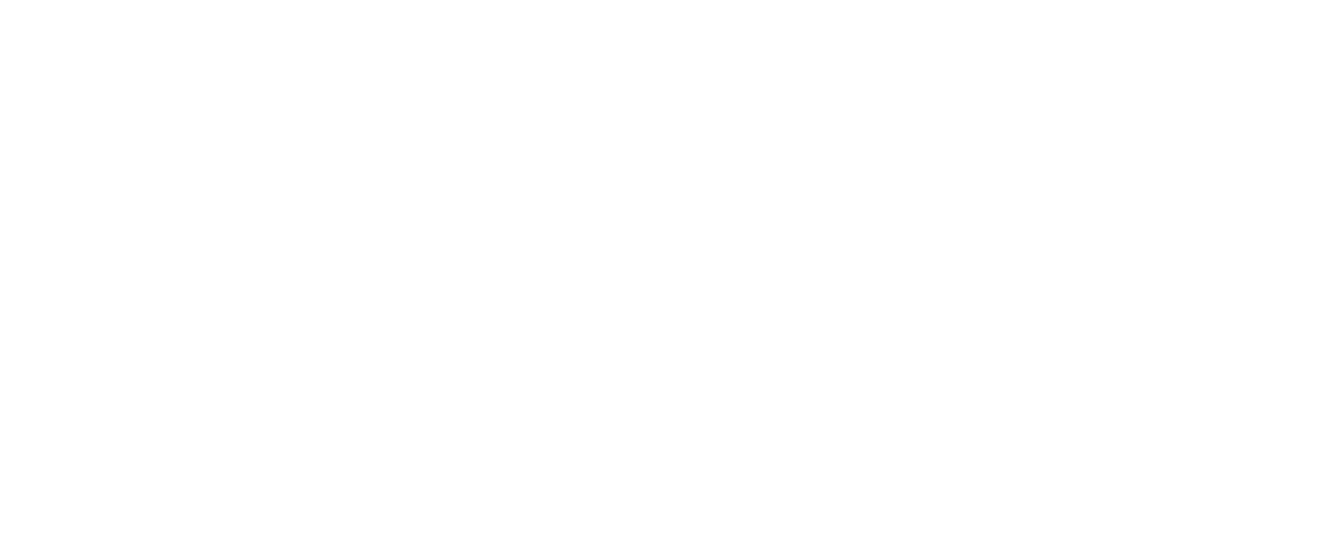 DSPANZ